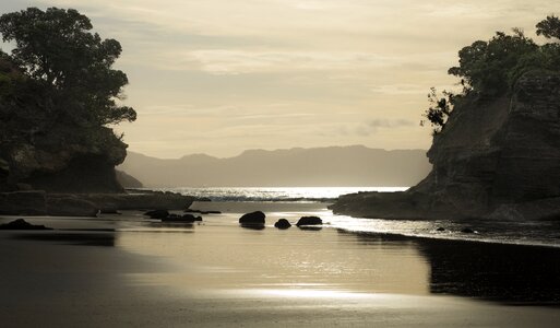 Golden tawharanui beach new zealand photo