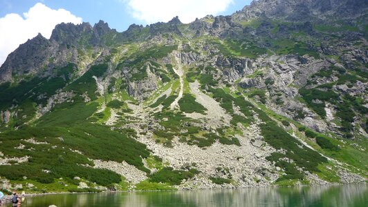Landscape nature the national park
