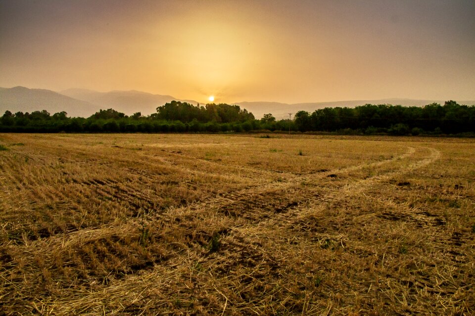 Landscape sunrise field
