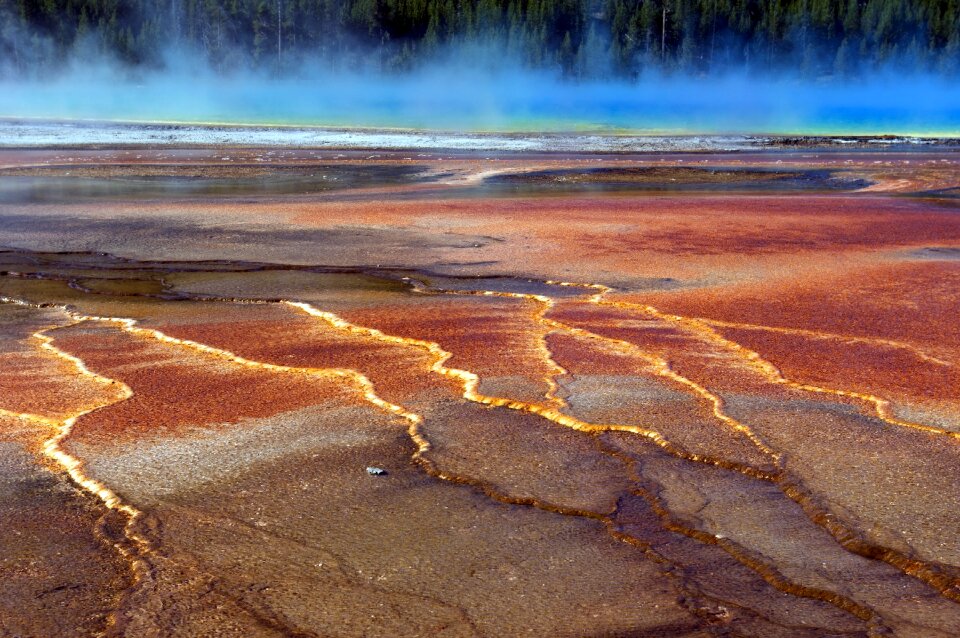 Yellowstone national park