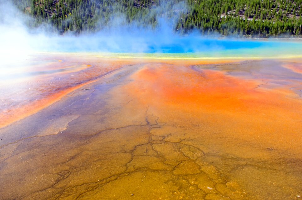 Yellowstone national park