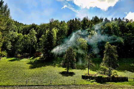 Sky mood trees photo