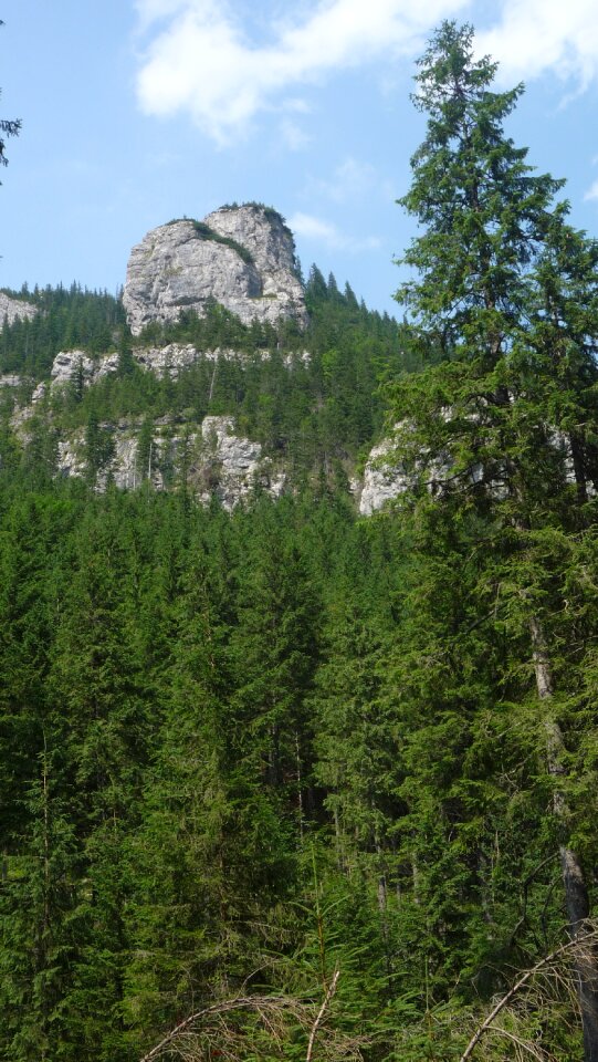 Landscape nature the national park