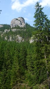 Landscape nature the national park