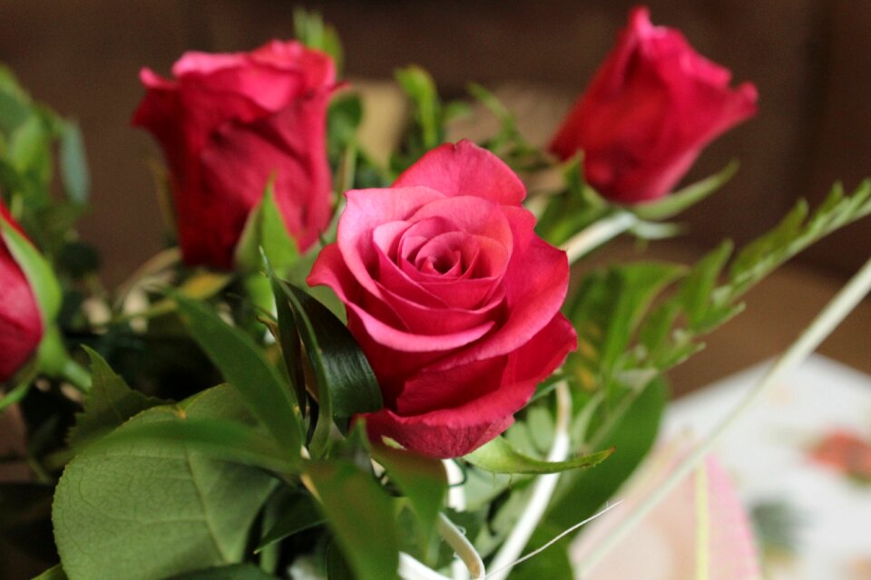Love red romantic