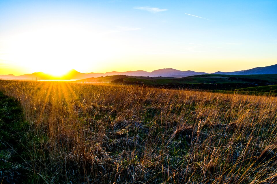 Rays country grass