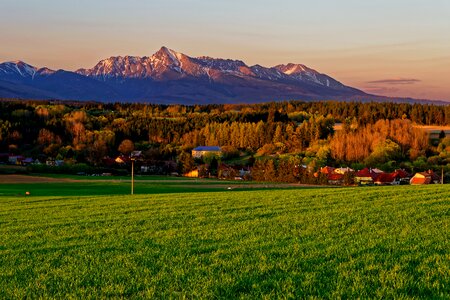 West grass trip