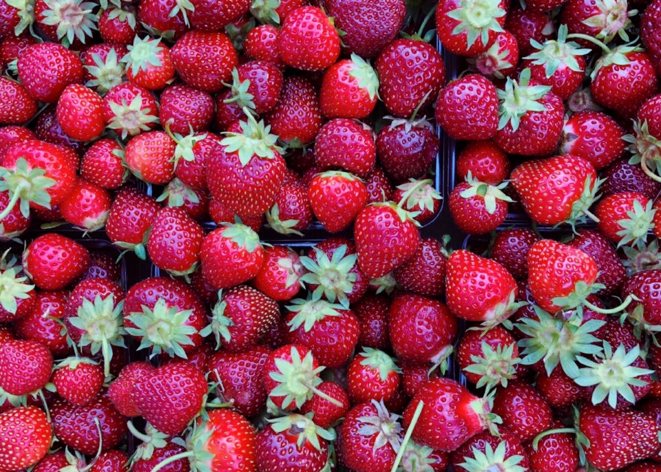Sweet delicious fresh