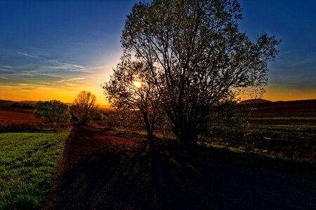 Trip field meadow