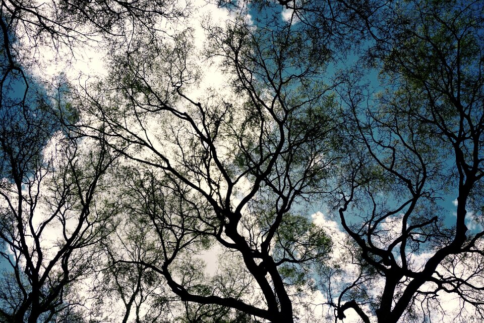 Blue sky white clouds sunny day photo