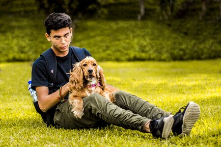Animals dog tamed