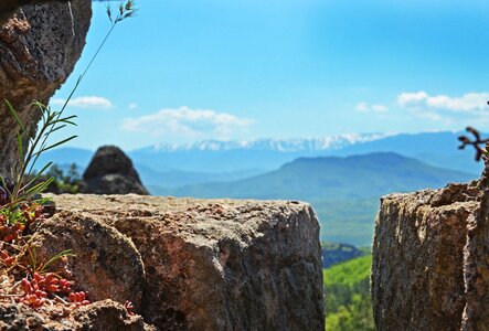 Spring grass granite