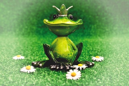 Figure cute funny