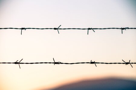 Freedom background details