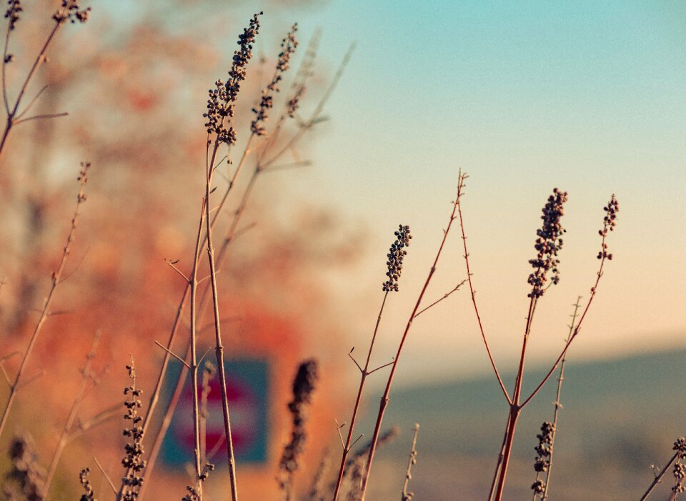Winter sky background