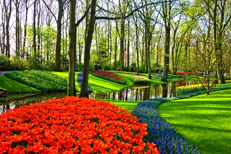 Flower bed lawn brook