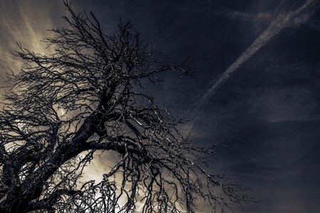 Evening nature landscape