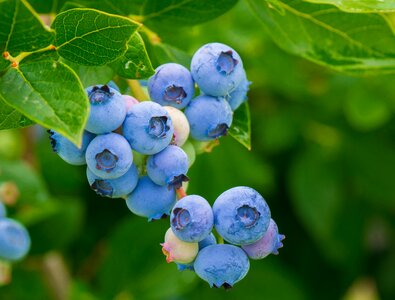 Vitamins healthy food