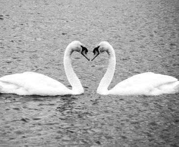 Lake two nature