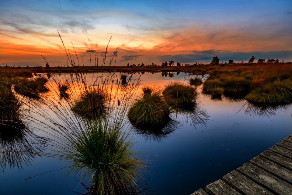Landscape moor nature reserve