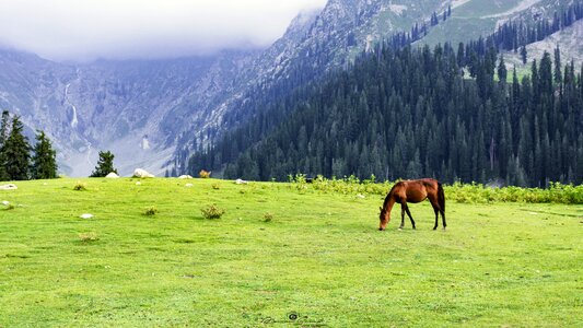 Kpk pakistan nikon
