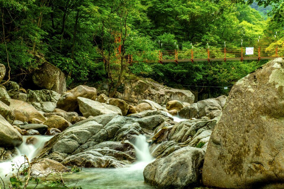 Forest republic of korea mountain photo