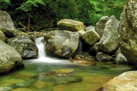 Forest republic of korea mountain photo