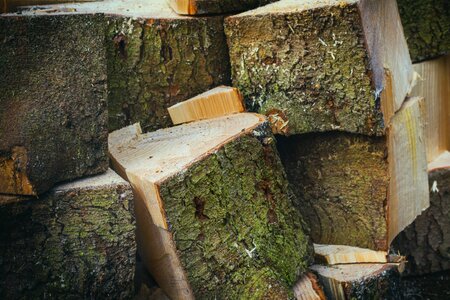 Log stack timber photo