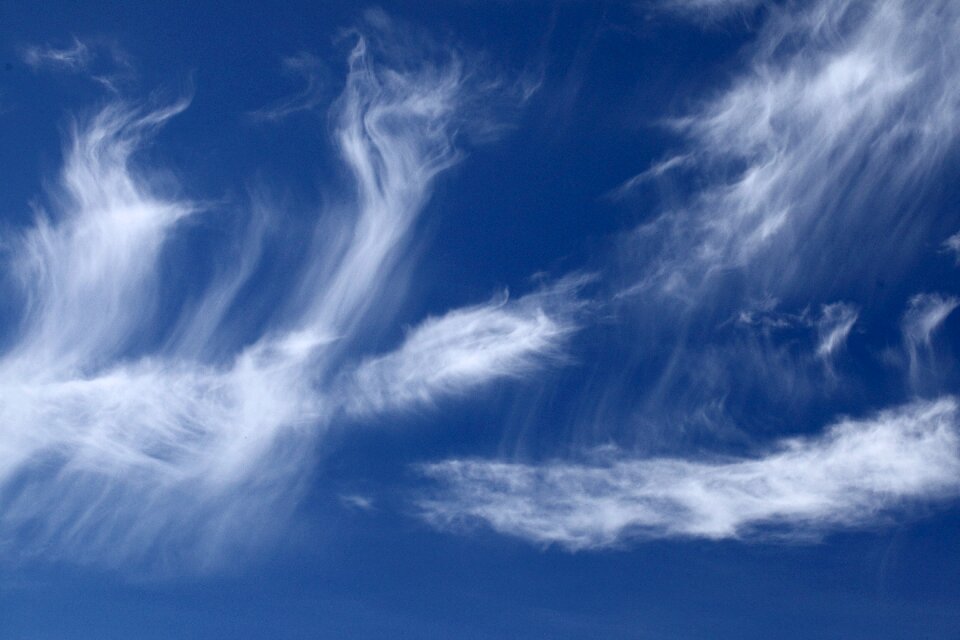 Feathery clouds the delicacy weather