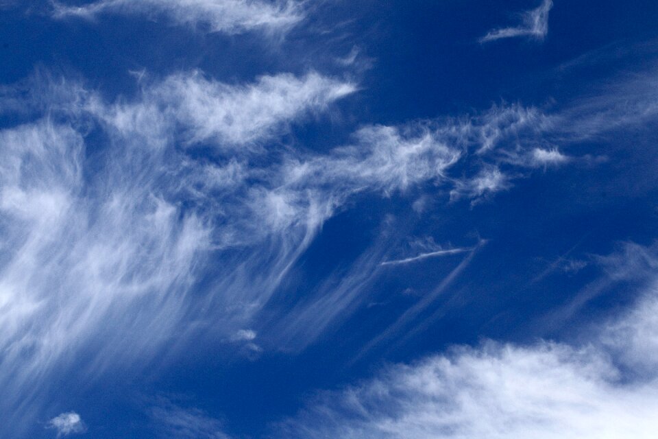 Feathery clouds the delicacy weather