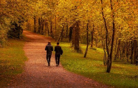 Portrait forest together photo