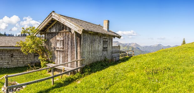 Wood landscape nature