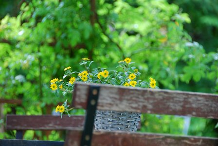 Romantic background spring