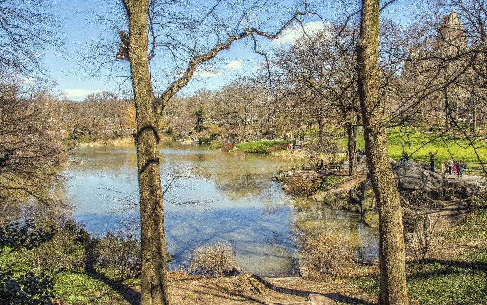 Wood water central park