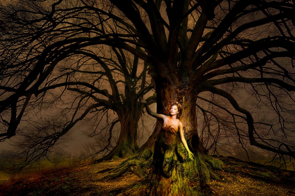 Light mood fairytale