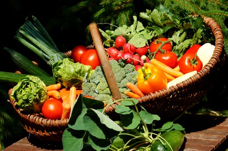 Colorful vegetable healthy food