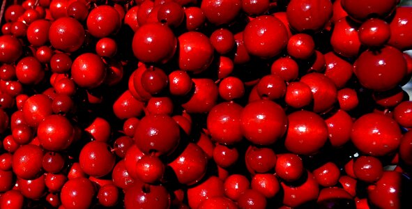 Red ornament jewelry