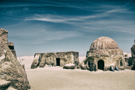 Sand camels dune photo