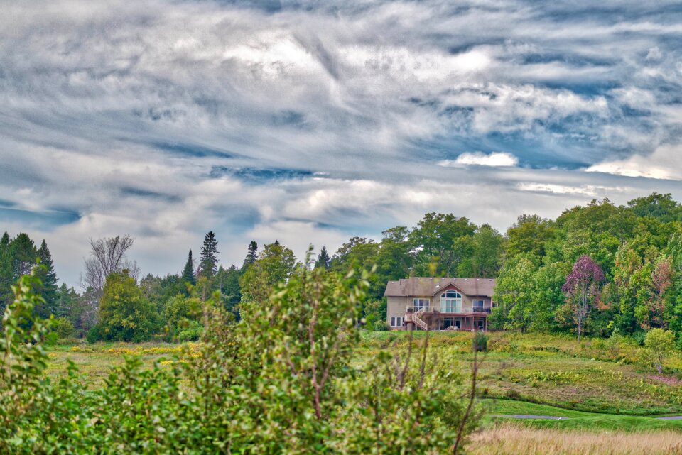 Green trees cottage nature