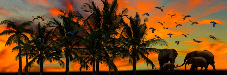 Palm trees ara parrot