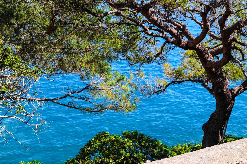 The french riviera riviera water