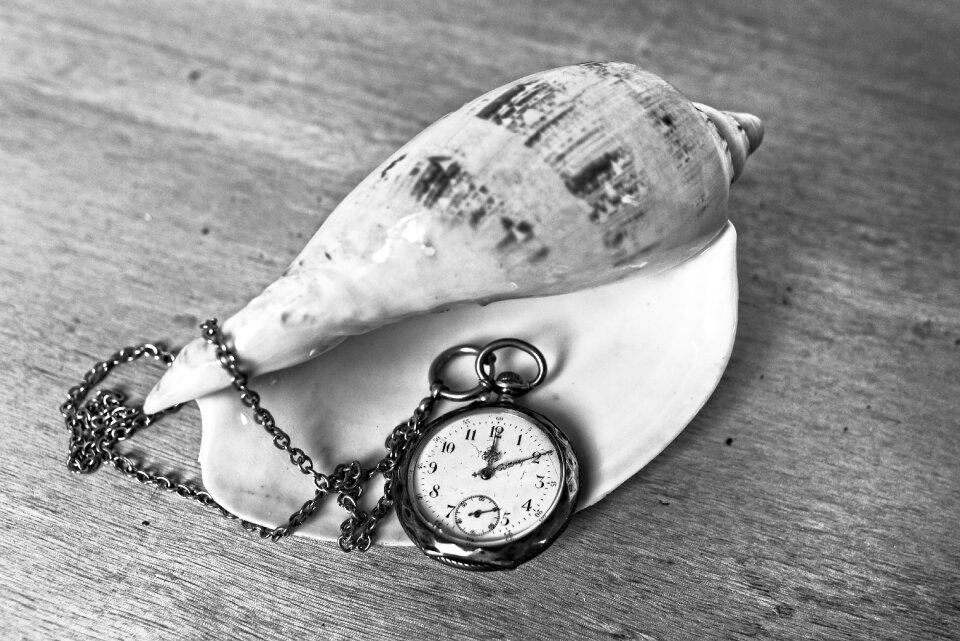 Hands chain seashell