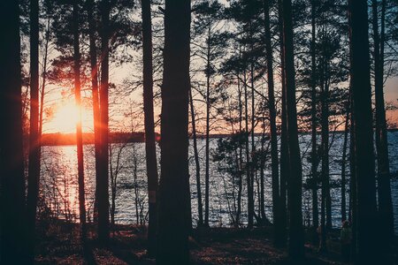 Lake sunset sun