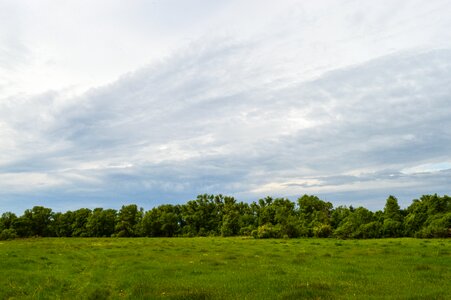Summer clouds fields photo