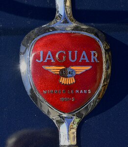 Car vintage classic