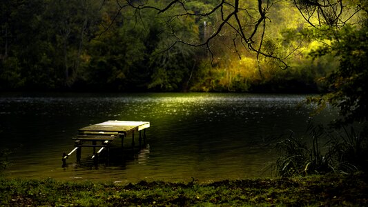 Mood light nature