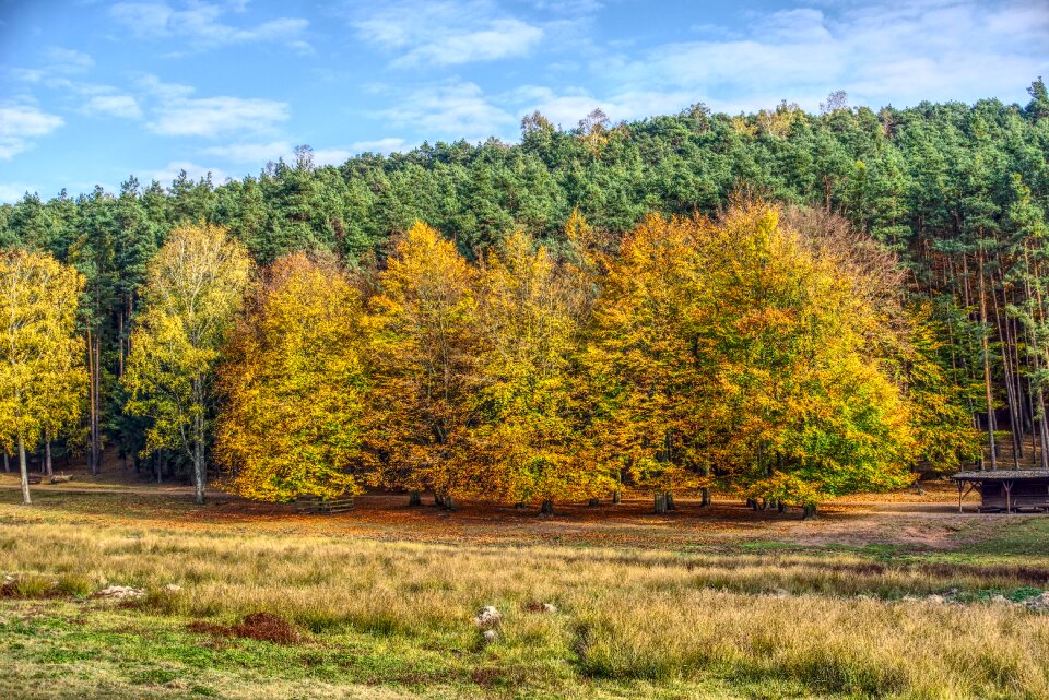 Autumn color sun