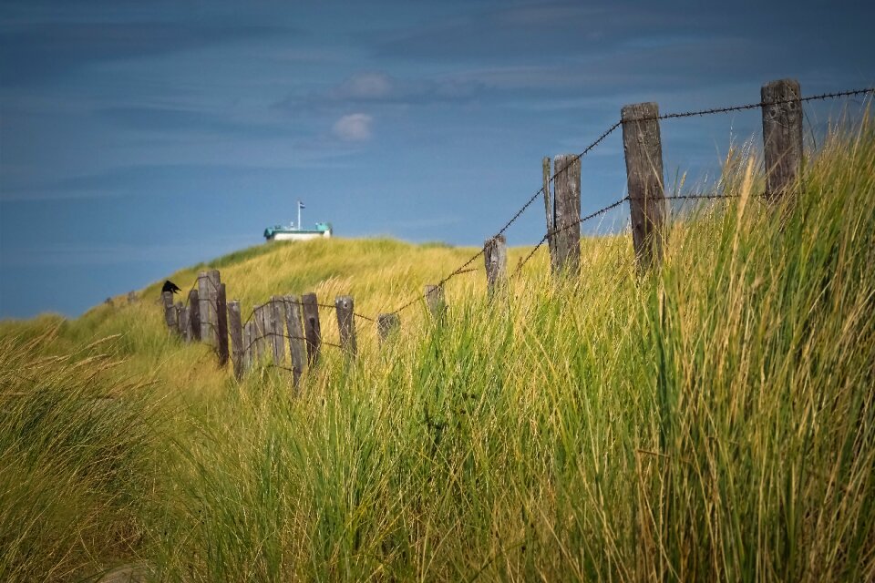 Sea sand coast photo