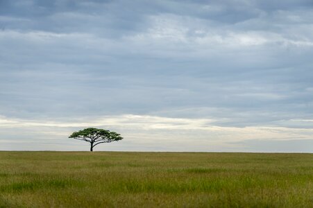 Safari holiday adventure