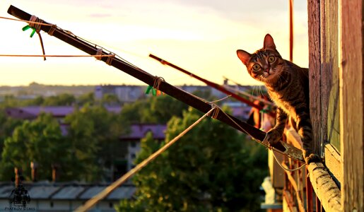 Balcony city sunset
